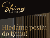 Nabídka zaměstnání Shiny hair studio